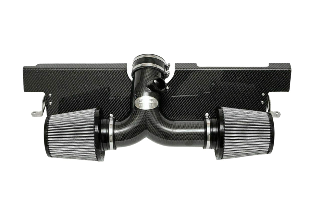 Fabspeed Motorsport Fabspeed Porsche 997.2 Carrera Carbon Fiber Competition Intake System 2009-2012