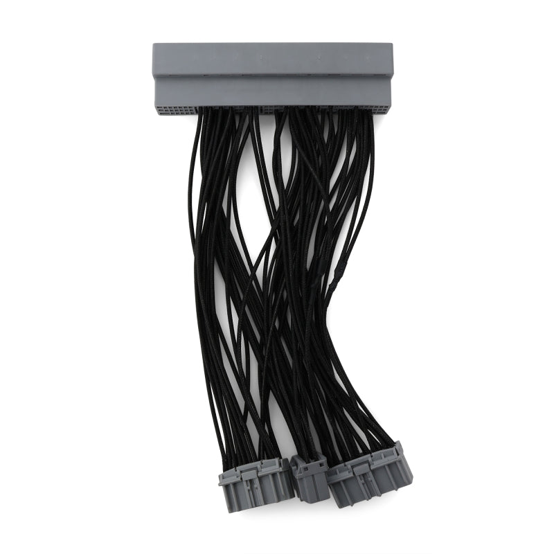 BLOBXAC-00702-BLOX Racing Honda OB2B - OBD1 ECU Jumper Harness-Wiring Harnesses-BLOX Racing