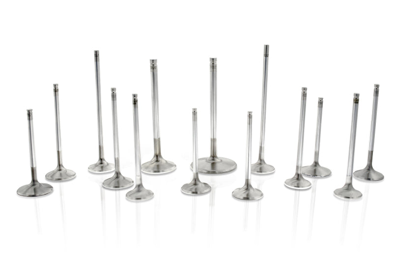 Ferrea Acura/Honda B16A1/B17A1 28mm 5.45mm 102.5mm 25 Deg Flo Stock Super Alloy Exh Valve - Set of 8 - Black Ops Auto Works