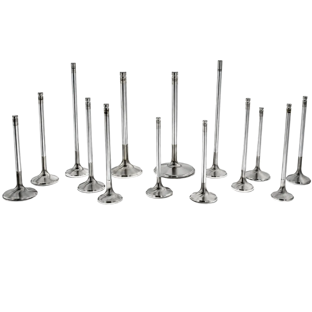 Ferrea F2165P Ford 5.4L 32V intake valve set of 16