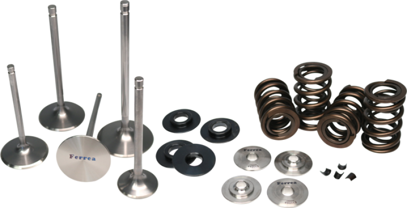 Ferrea Acura K20 Endurance Dual Spring Kit - Ferrea KT4003