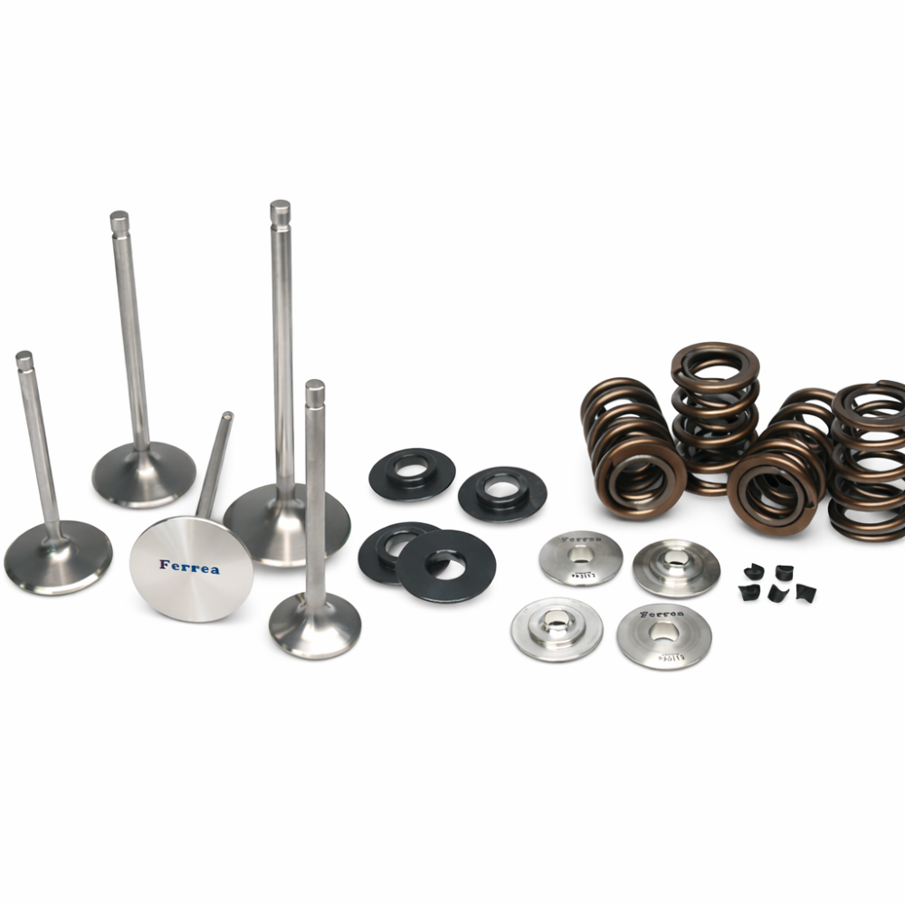 Ferrea K20C1 single spring kit full view with retainers