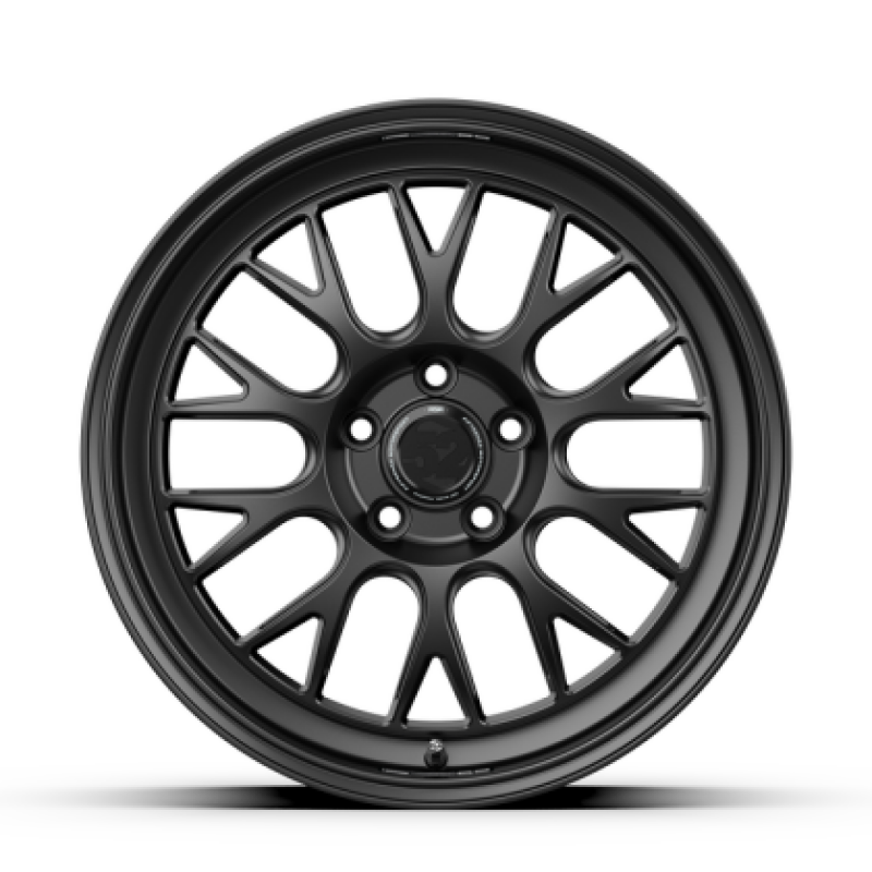 fifteen52 Holeshot RSR 19x9.5 wheel full view Frosted Graphite