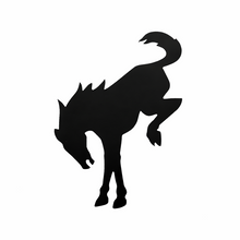 Load image into Gallery viewer, Ford Bronco gloss black rear badge full view