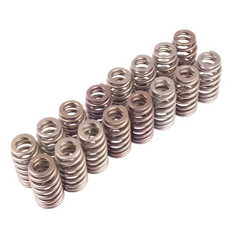 Ford Racing BOSS 302R Valve Spring Kit - Black Ops Auto Works