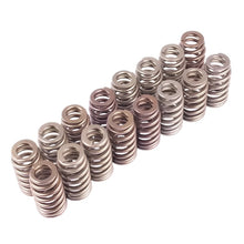 Load image into Gallery viewer, Ford Racing BOSS 302R Valve Spring Kit - Black Ops Auto Works