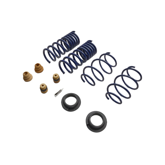Ford Racing 15-24 Mustang Street Lowering Spring Kit - Ford Racing FRPM-5300-S65S