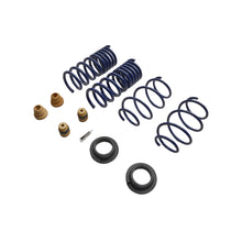 Load image into Gallery viewer, Ford Racing 15-24 Mustang Street Lowering Spring Kit - Ford Racing FRPM-5300-S65S