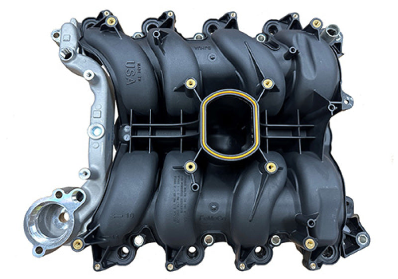 Ford Racing 01-04 Mustang GT 4.6L SOHC 2V Perf Improvement Intake Manifold (Req Manifold Gasket Set) - Ford Racing FRPM-9424-
