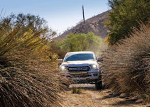 Load image into Gallery viewer, FOX Fox 2019+ Ford Ranger 2.0 Perf Series 9.7in Smooth Body IFP Rear Shock / 0-1.5in Lift