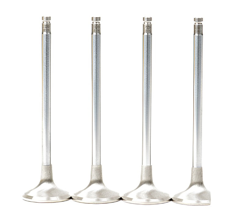 GSC P-D Honda B-Series B16A/B17A/B18C Chrome Alloy Exhaust Valve 28mm Head - 6mm Stem - Set of 8 - Black Ops Auto Works