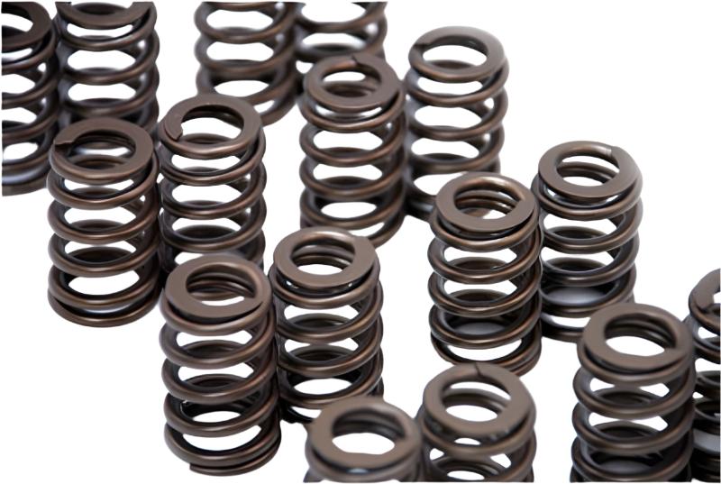 GSC P-D Porsche 991 Turbo Conical Spring Set - GSC Power Division 5094