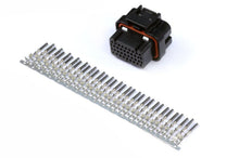 Load image into Gallery viewer, Haltech AMP 34 Pin 4 Row 3 Keyway Superseal Connector Plug &amp; Pins-Wiring Connectors-Haltech-9356450002455-