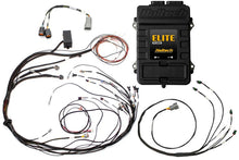 Load image into Gallery viewer, Haltech Elite 1500 Terminated Harness ECU Kit w/ Square EV1 Injector Connectors - Black Ops Auto Works