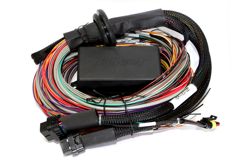 Haltech Elite 2500 & 2500 T 8ft Premium Universal Wire-In Harness - Black Ops Auto Works