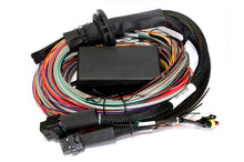 Load image into Gallery viewer, Haltech Elite 2500 &amp; 2500 T 8ft Premium Universal Wire-In Harness - Black Ops Auto Works