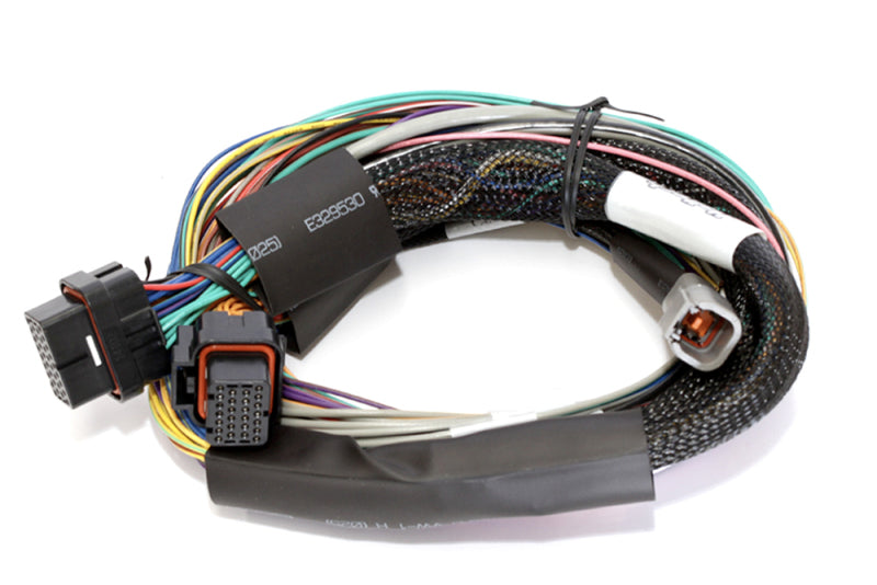 Haltech Elite 2500 8ft Basic Universal Wire-In Harness (Excl Relays or Fuses) - Black Ops Auto Works
