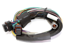 Load image into Gallery viewer, Haltech Elite 2500 8ft Basic Universal Wire-In Harness (Excl Relays or Fuses) - Black Ops Auto Works