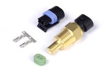 Load image into Gallery viewer, Haltech Coolant Temp Sensor 3/8 NPT 18 TPI (Incl Delphi Plug &amp; Pins) - Haltech HT-010302