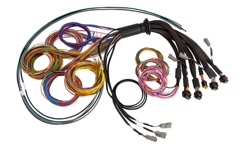 Haltech NEXUS R5 Universal Wire-In Harness - 2.5M (8ft) - Haltech HT-185200