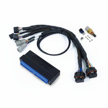 Load image into Gallery viewer, Haltech NEXUS S3 Plug-n-Play Adapter Harness - Haltech HT-186362