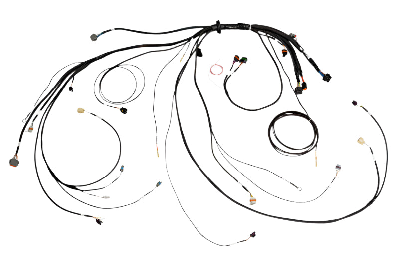 Haltech NEXUS Rebel LS Terminated Harness for ECU - Haltech HT-186500