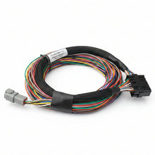 Load image into Gallery viewer, Haltech HT-140602 Elite 750 basic universal wire-in harness 2.5m