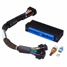 Load image into Gallery viewer, Haltech HT-140854 Elite 1000/1500 adaptor harness for Nissan Silvia S15 S14A S2