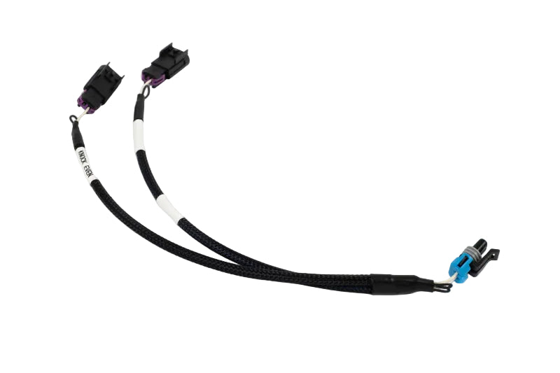 Haltech NEXUS Rebel ECU with knock sensor adaptor wiring