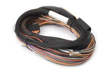 Load image into Gallery viewer, Haltech IO 12 Expander Box 8ft Flying Lead Harness (A/B Box) - Black Ops Auto Works