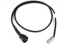 Load image into Gallery viewer, Haltech LSU4.9 Wideband Adaptor Harness LSU4.9 to DTM6 - Black Ops Auto Works