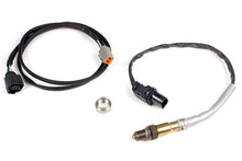 Load image into Gallery viewer, Haltech LSU4.9 Wideband Hardware Pack - Black Ops Auto Works