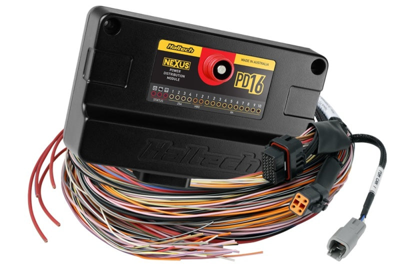 Haltech Nexus PD16 + Flying Lead Harness (5M) - Black Ops Auto Works