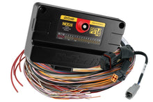 Load image into Gallery viewer, Haltech Nexus PD16 + Flying Lead Harness (5M) - Black Ops Auto Works