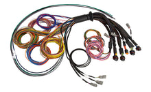 Load image into Gallery viewer, Haltech NEXUS R5 Universal Wire-In Harness - 2.5M (8ft) - Black Ops Auto Works