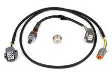 Load image into Gallery viewer, Haltech NTK Wideband Hardware Pack - Black Ops Auto Works