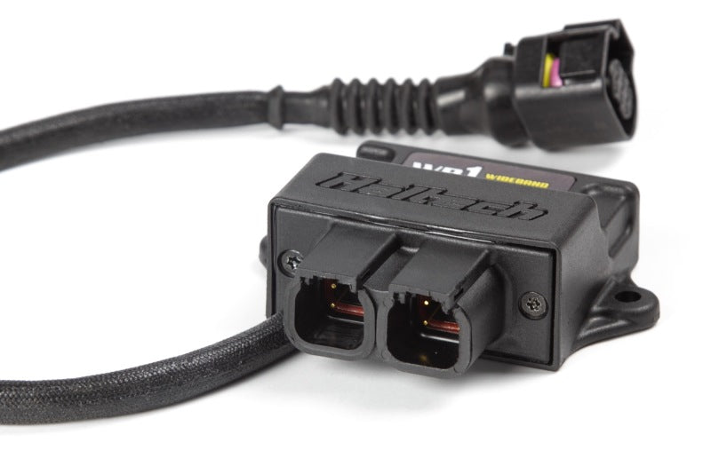 Haltech WB1 Single Channel CAN O2 Wideband Controller Kit - Black Ops Auto Works
