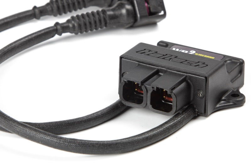 Haltech WB2 Dual Channel CAN O2 Wideband Controller Kit - Black Ops Auto Works