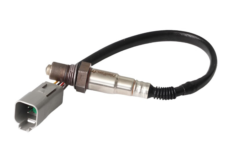 Haltech Wideband O2 Sensor (Bosch LSU 4.2) - Black Ops Auto Works