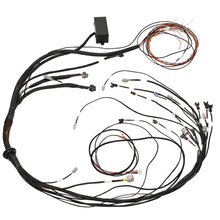Load image into Gallery viewer, Haltech HT-140878 Elite 1000 harness full view