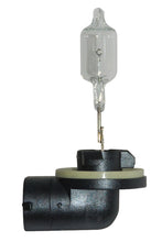 Load image into Gallery viewer, Hella Bulb 888 12V 50W PGJ13 T3.25 - Black Ops Auto Works