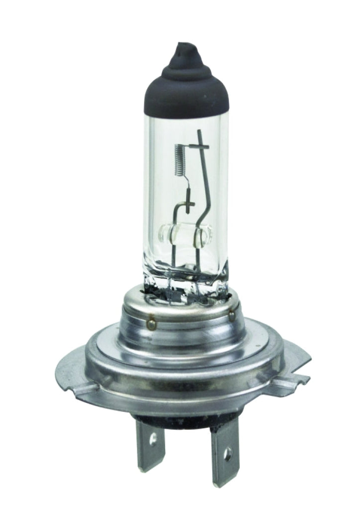 Hella Halogen H7 Bulb - Black Ops Auto Works