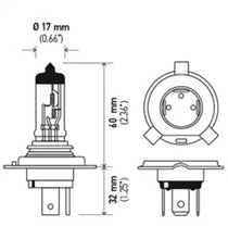 Load image into Gallery viewer, Hella Halogen H4 12V 60/55W Bulb - Hella LAH4