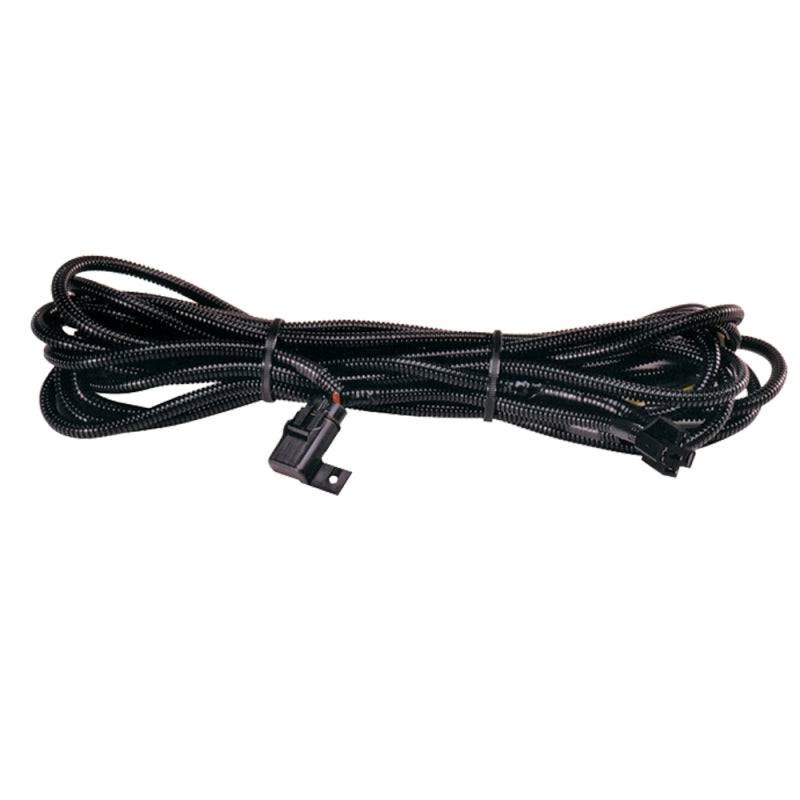 Hella High Performance Halogen Wiring Harness - Black Ops Auto Works