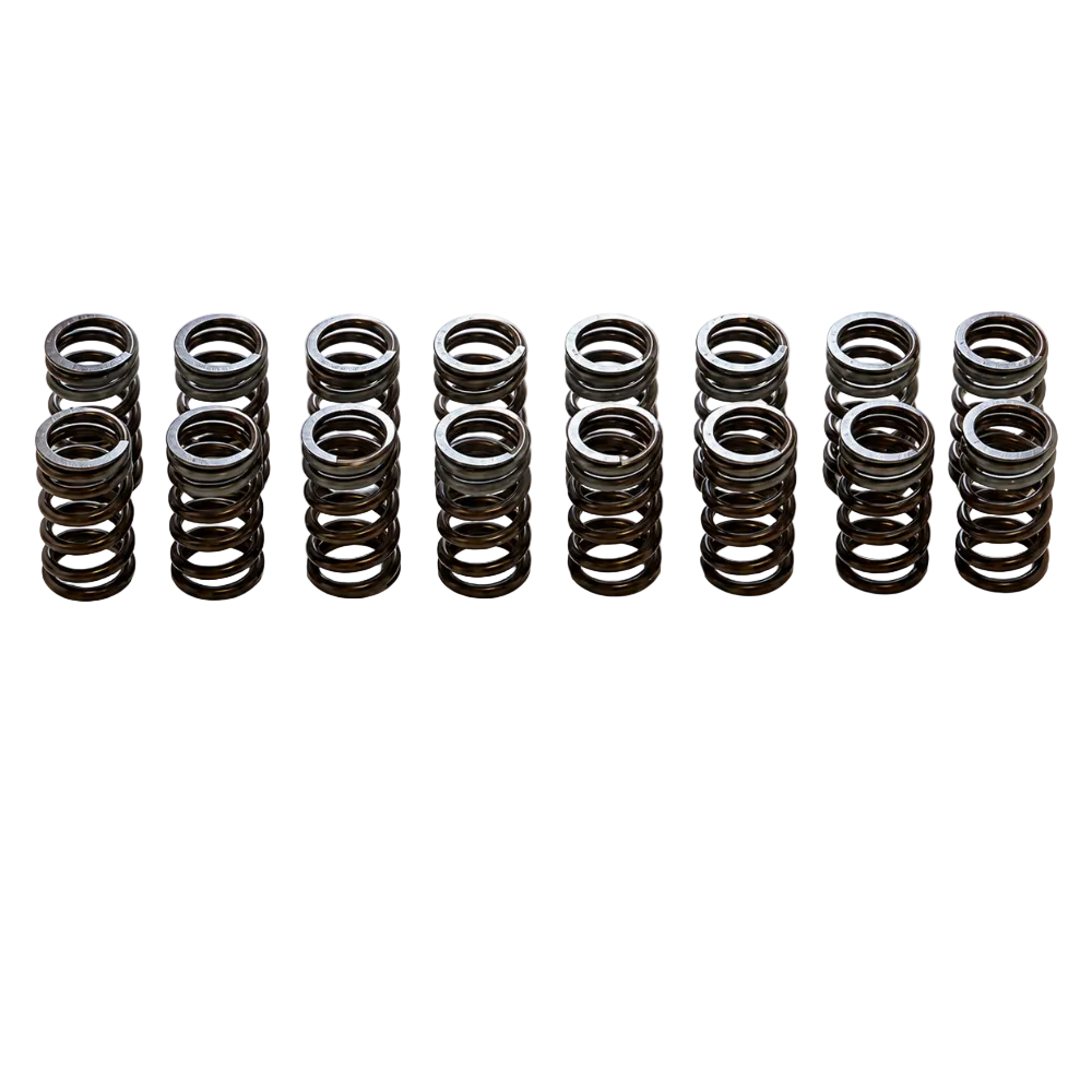 HKS 22001-AN002 SR20DET outer valve spring set for Step 2 and Step 3 camshaft builds