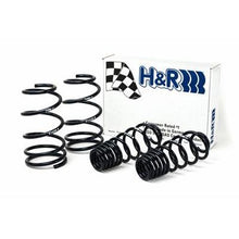 Load image into Gallery viewer, H&amp;R 07-10 Ford GT500/GT500 Convertible V8 Sport Spring H&amp;R HRS51655-500