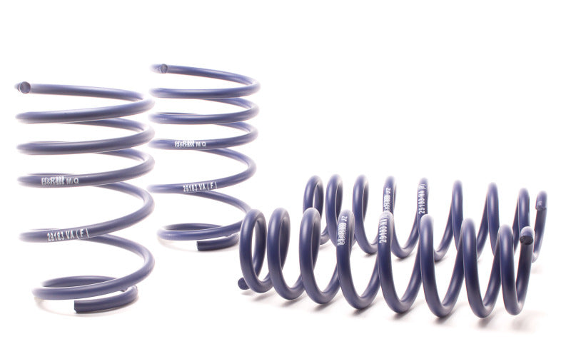 H&R 07-11 BMW 328i Sedan/335i Sedan E90 Race Spring - Black Ops Auto Works