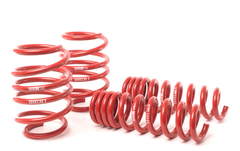 H&R 08-13 BMW M3 Coupe/M3 Sedan E92 Race Spring - Black Ops Auto Works
