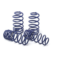 Load image into Gallery viewer, H&amp;R H&amp;R 23-24 BMW XM G09 (AWD) Sport Springs