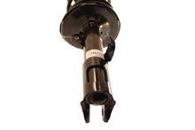 Load image into Gallery viewer, KYB Strut Plus Front Left Toyota Corolla 2012-2009 - Black Ops Auto Works